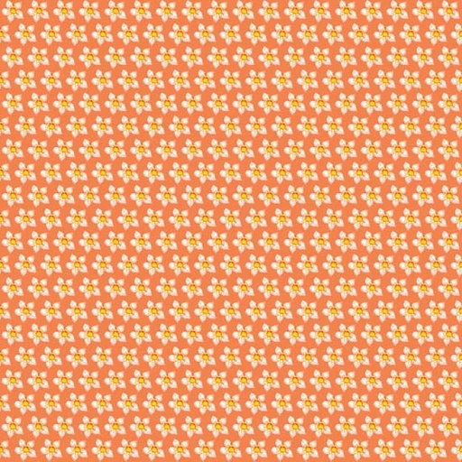 [RBS-FF2810-10] Box Step Orange