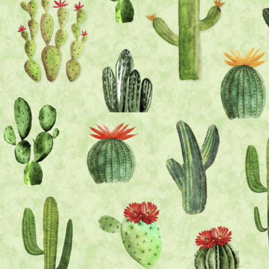Cowboy Up Cactus