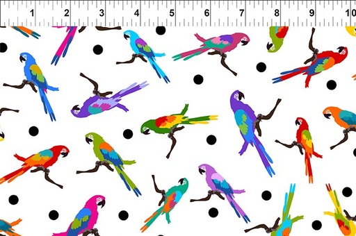 [3COL-1] Colorful-Parrots-Multi